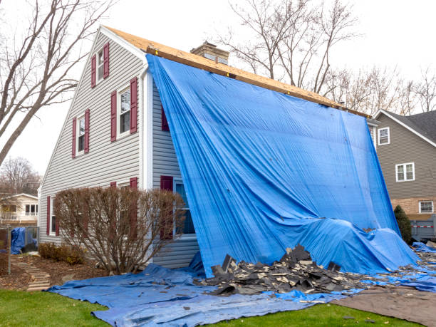 Best Siding Removal and Disposal  in Waterloo, IA